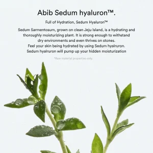 abib-sedum-hyaluron-creme-hydrating-pot-80ml-pic-2