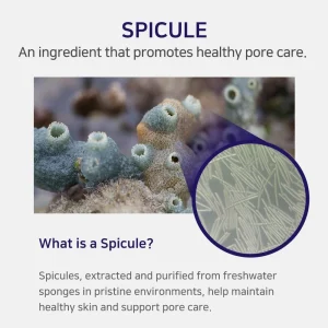 aplb-spicule-collagen-shot-300-cream-55ml-pic-3