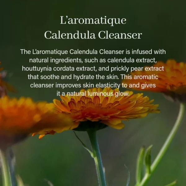 arencia-calendula-rice-mochi-cleanser-120g-pic-2