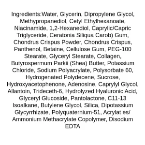 sungboon-editor-deep-collagen-hyalu-b5-hydrating-mask-ingredients